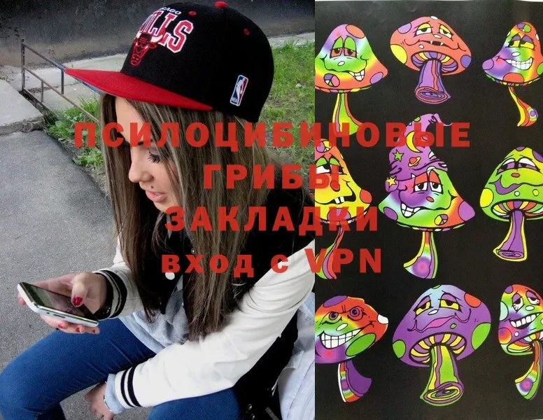 купить закладку  Буйнакск  Псилоцибиновые грибы MAGIC MUSHROOMS 